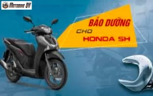 Cách Bảo Dưỡng Xe SH 2019